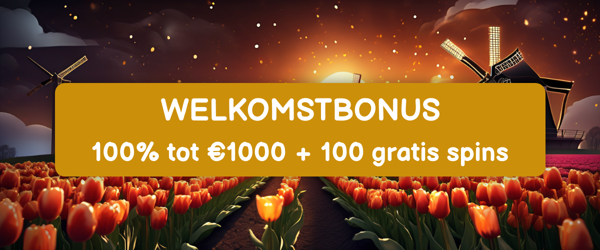 Savaspin Casino Nederland